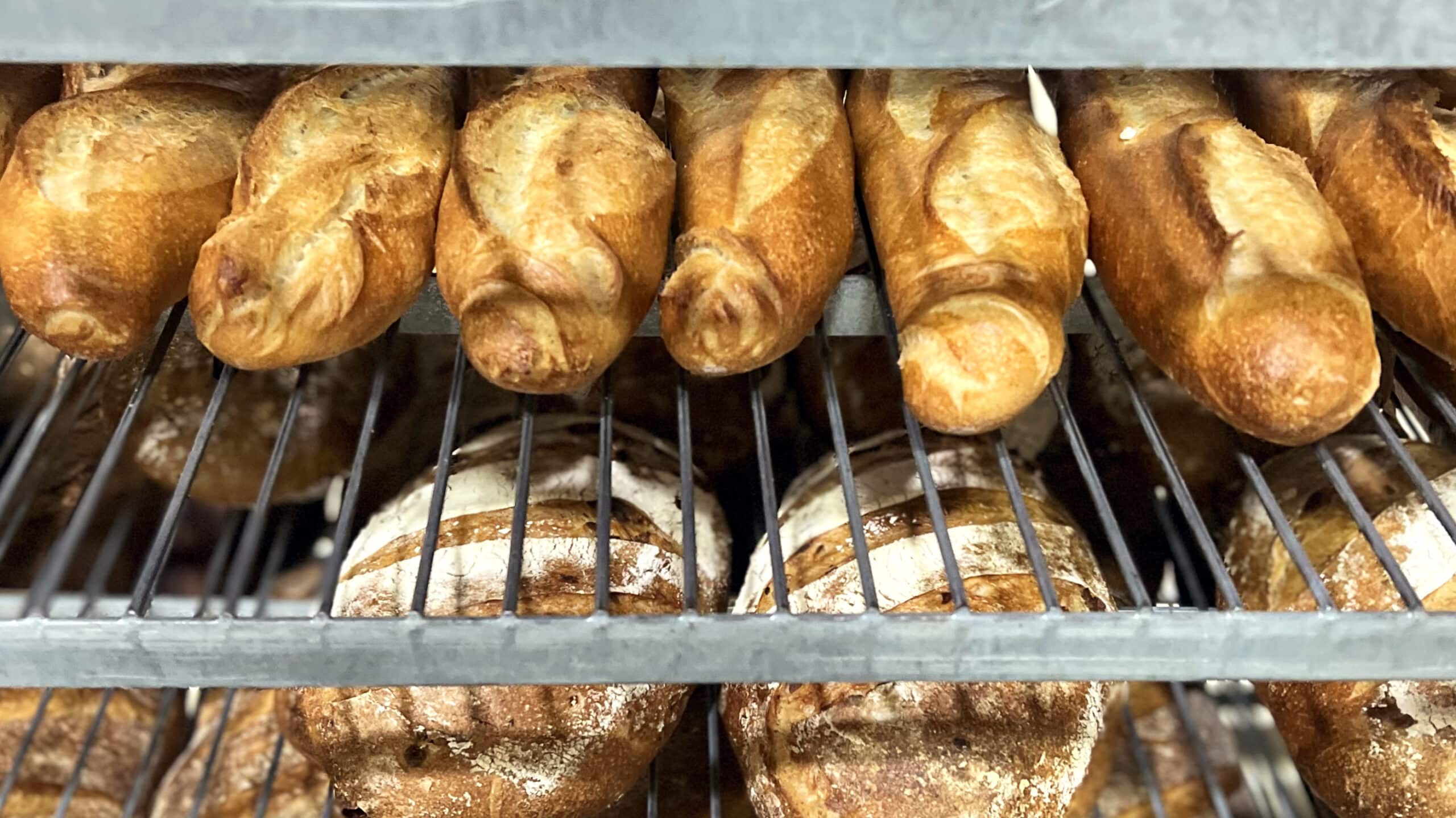 Artisan bread lined up on cooling racks at a bakery.